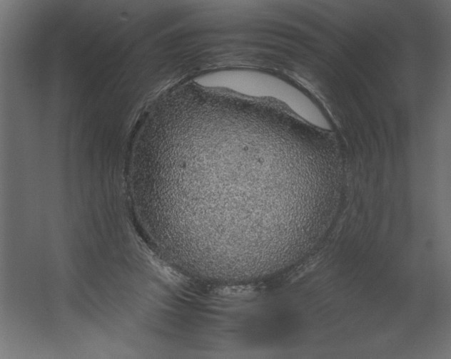 X0000067480353200604211639