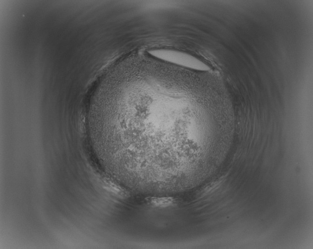 X0000067480355200604211639