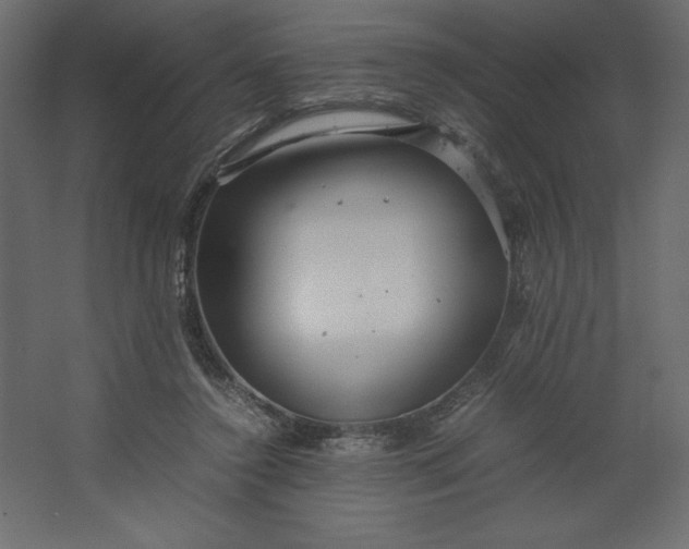 X0000067480356200604211639