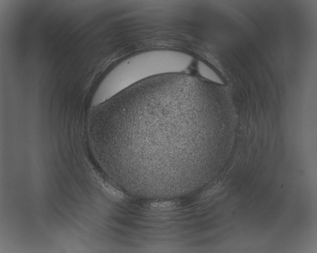 X0000067480357200604211639