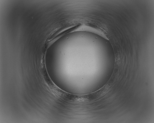 X0000067480360200604211639