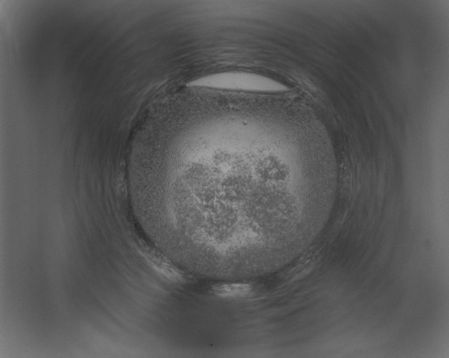 X0000067480361200604211639