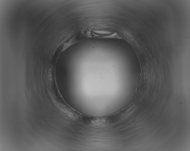 X0000067480362200604211639