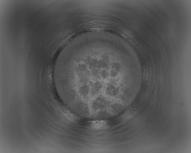 X0000067480363200604211639