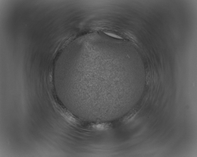 X0000067480365200604211639