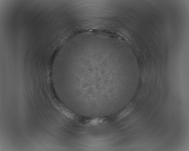 X0000067480366200604211639