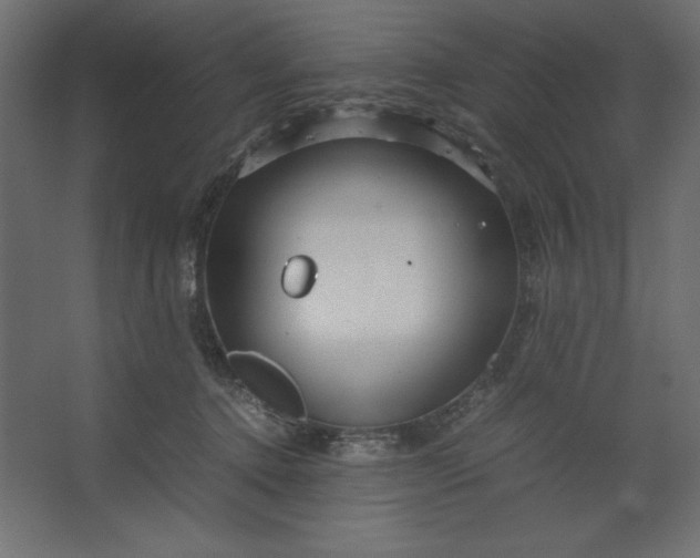 X0000067480368200604211639