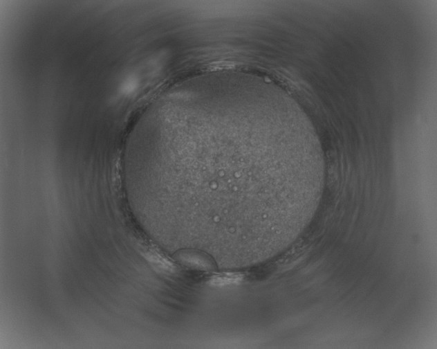 X0000067480369200604211639