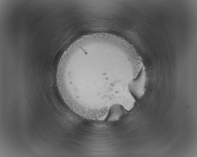 X0000067480370200604211639