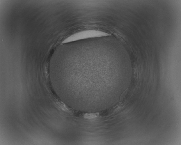 X0000067480373200604211639