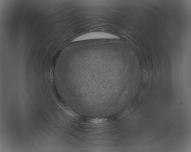 X0000067480375200604211639