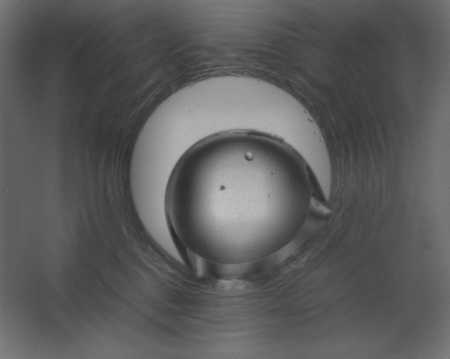 X0000067480376200604211639