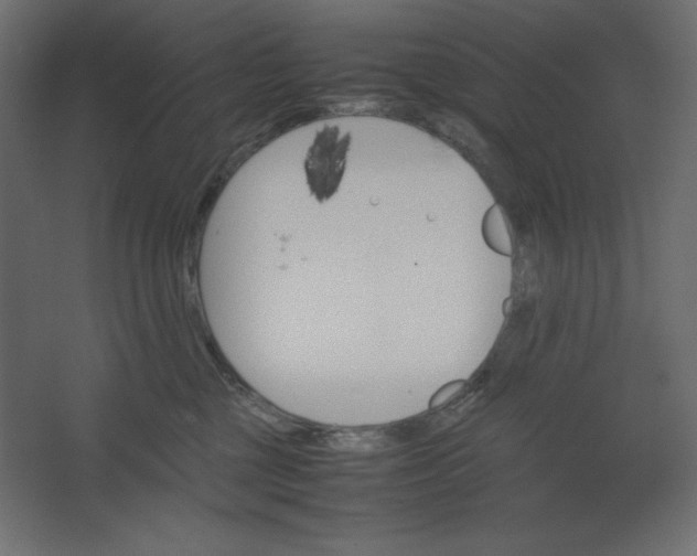 X0000067480377200604211639