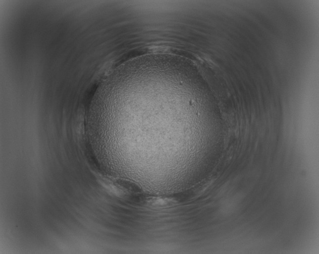 X0000067480379200604211639