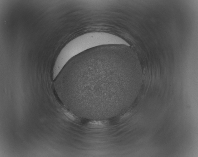 X0000067480381200604211639