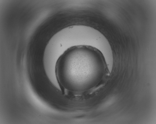 X0000067480383200604211639