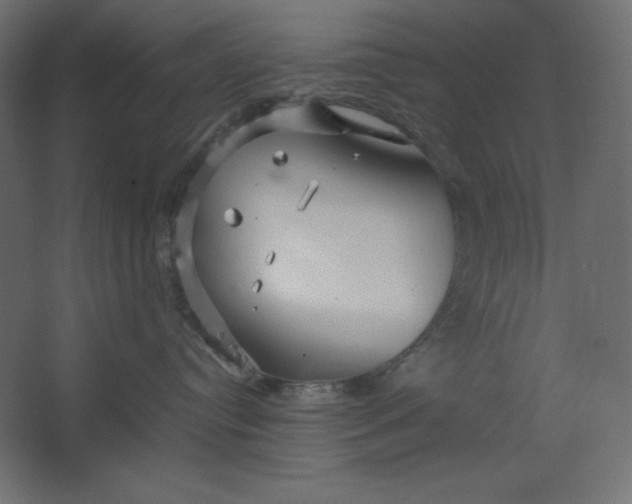 X0000067480384200604211639