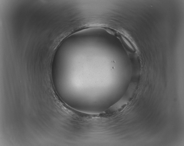 X0000067480385200604211638