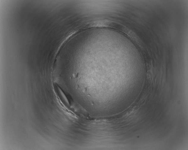 X0000067480386200604211638