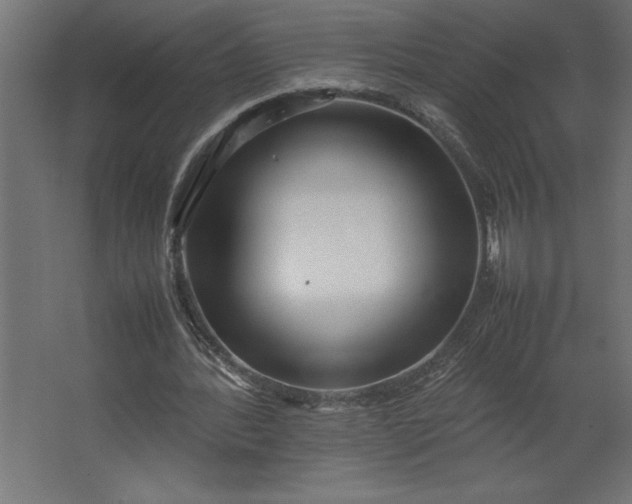 X0000067480388200604211638