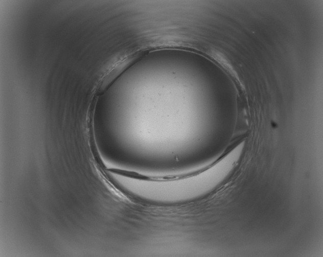 X0000067480389200604211638