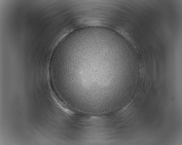 X0000067480390200604211638