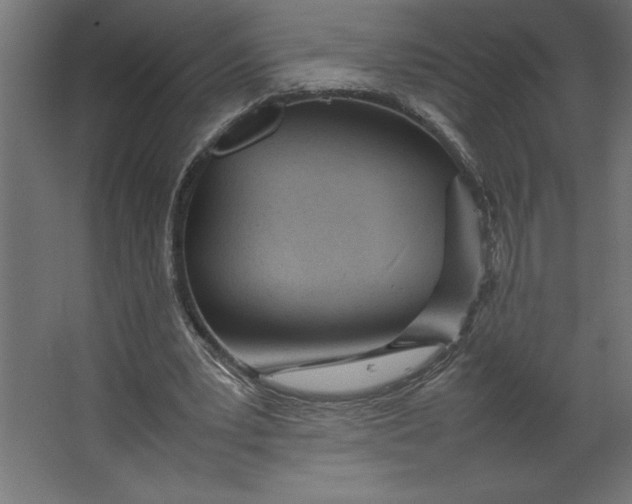 X0000067480391200604211638