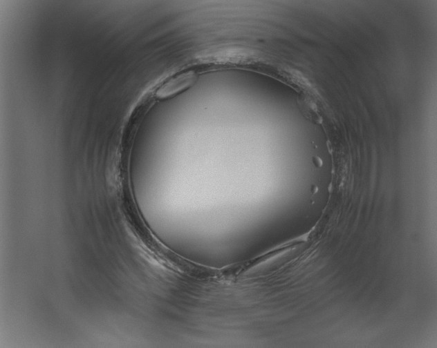 X0000067480392200604211638