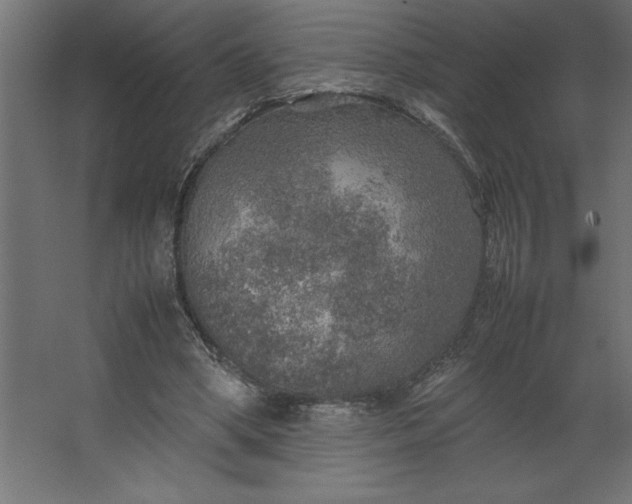 X0000067480394200604211638