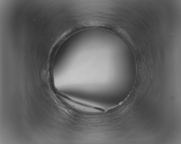 X0000067480395200604211638