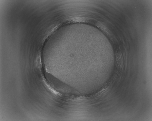 X0000067480398200604211638