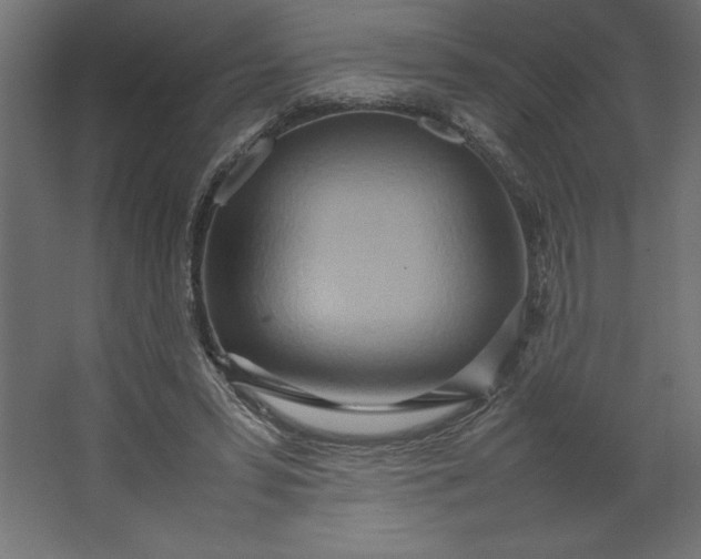 X0000067480399200604211638