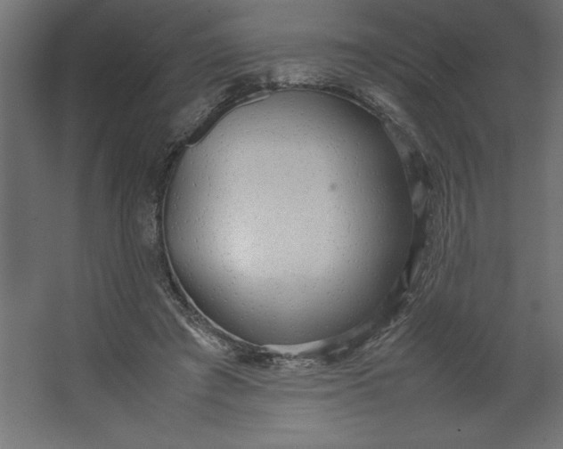 X0000067480401200604211638