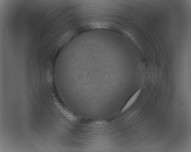 X0000067480402200604211638