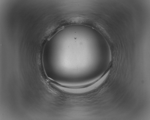 X0000067480403200604211638