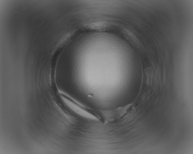 X0000067480404200604211638