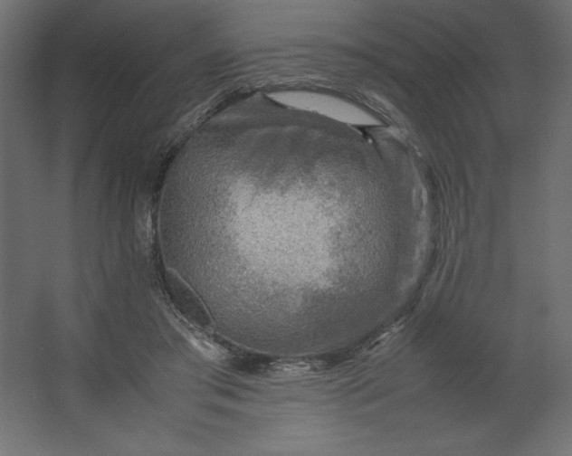 X0000067480405200604211638