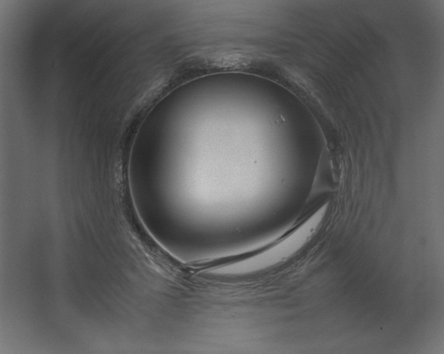 X0000067480407200604211638