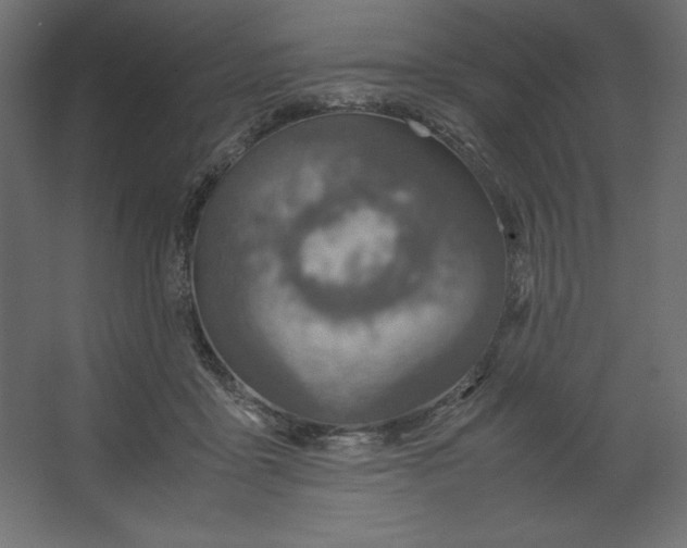 X0000067480411200604211638