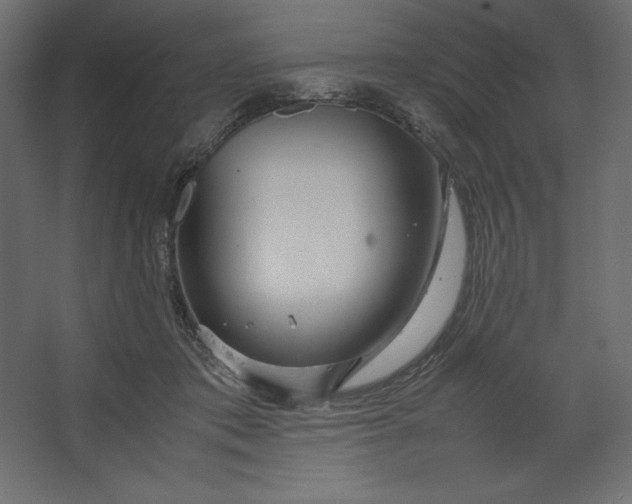 X0000067480413200604211638