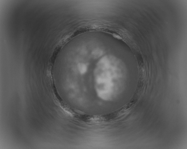 X0000067480415200604211638