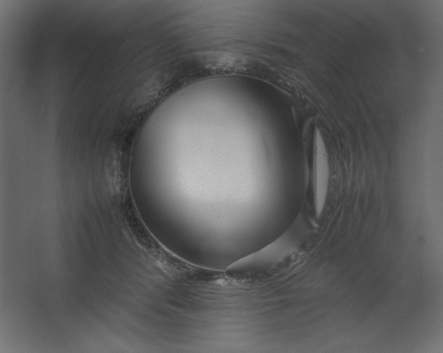 X0000067480416200604211638