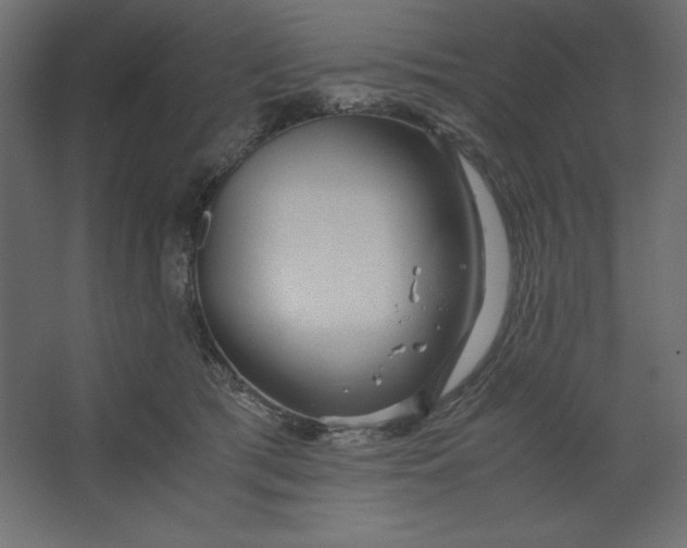 X0000067480417200604211638