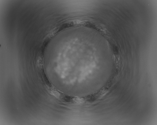 X0000067480419200604211638