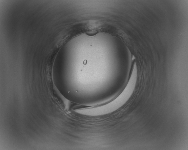 X0000067480421200604211638