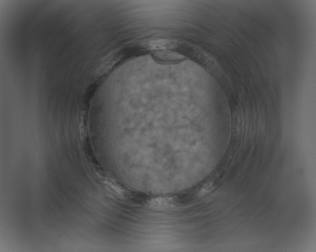 X0000067480422200604211638