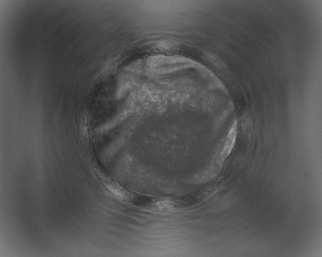 X0000067480423200604211638