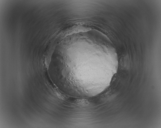 X0000067480424200604211638