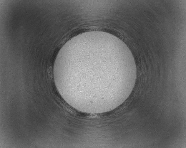 X0000067480425200604211638