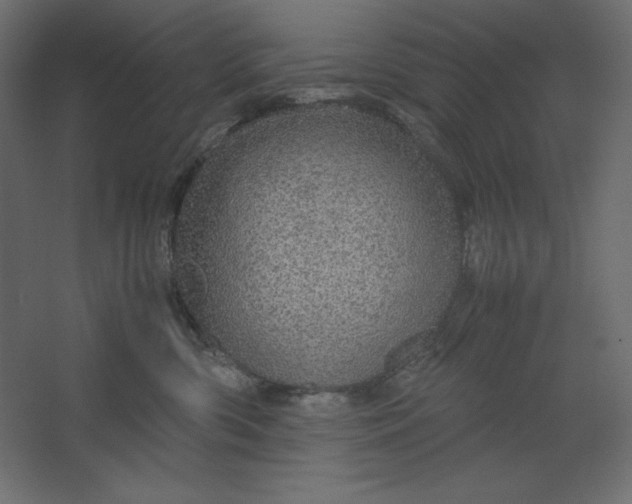 X0000067480426200604211638